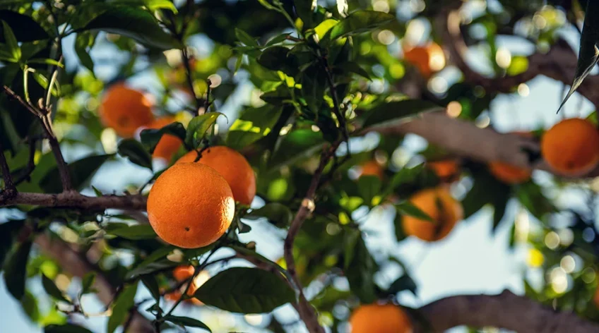 There are many variations of passages of Lorem Ipsum available, but majority have suffered teration in some form, by injected humour, or randomised words which don't look even slight believable. If you are going to use a passage of Lorem Ipsum.